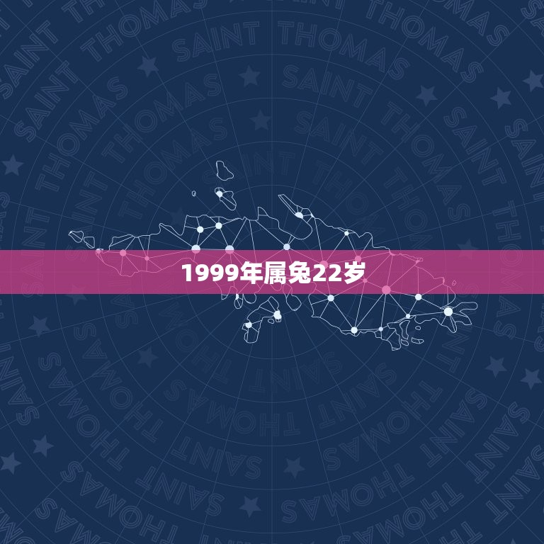 1999年属兔22岁(兔年出生的你已经22岁了)  第3张