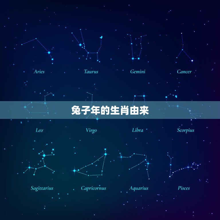 兔子是哪几年出生的呢(介绍兔子年生肖的由来)  第1张