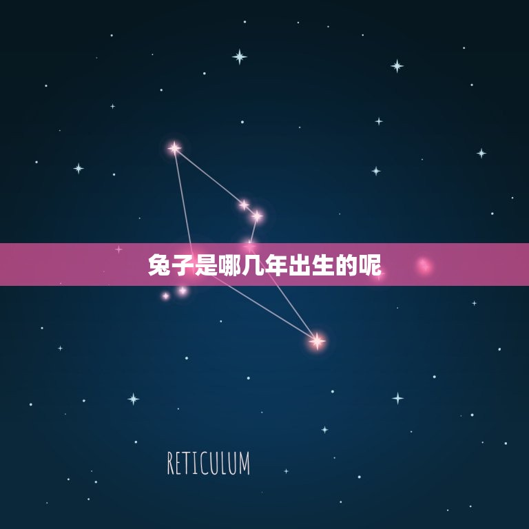 兔子是哪几年出生的呢(介绍兔子年生肖的由来)  第3张