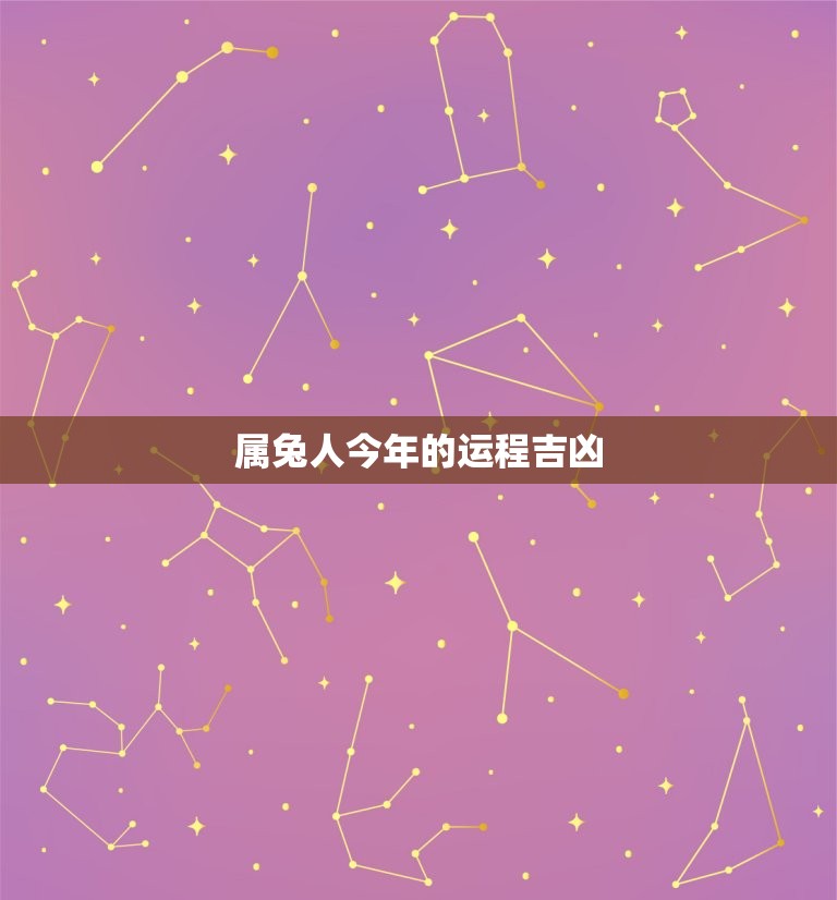 属兔人今年的运程吉凶(2023年属兔人运势大介绍)  第3张