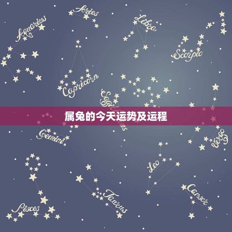 属兔的今日运势及运程(幸运之星闪耀财运亨通)  第3张