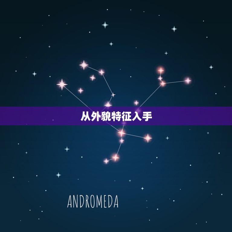 兔宝宝起什么名字女孩(如何给你的兔子宝宝取一个独特的名字)  第2张