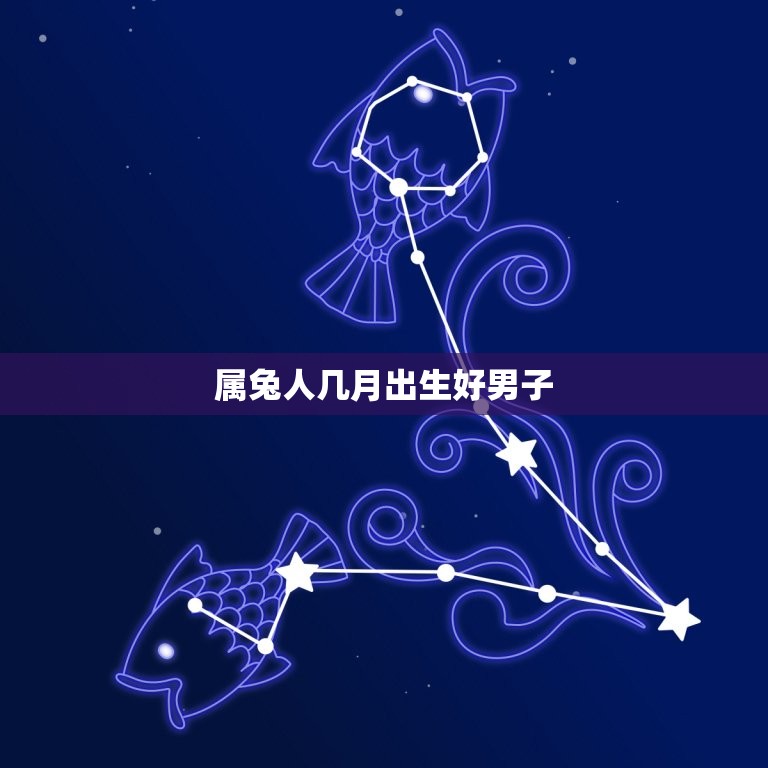 属兔人几月出生好男子(介绍月份)  第3张