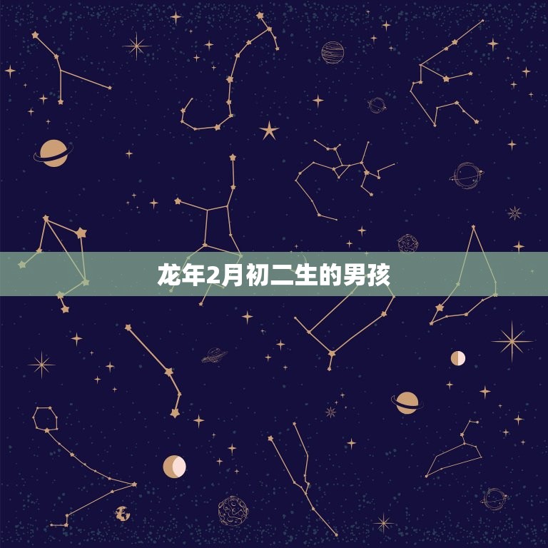 龙年2月初二生的男孩(命中注定的龙凤胎)  第3张