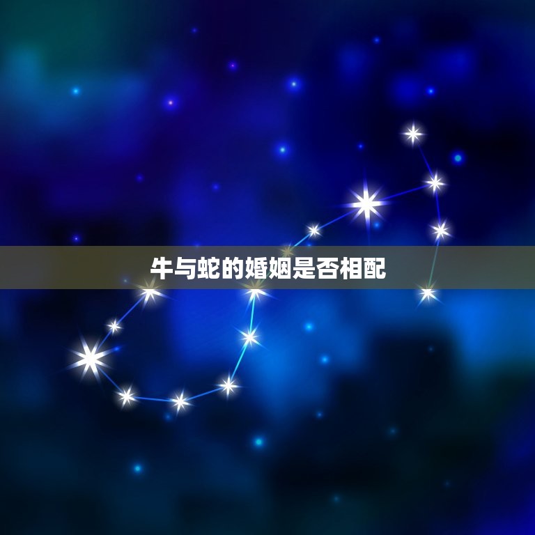 牛与蛇的婚姻是否相配(讨论星座学说与现实生活的差距)  第3张