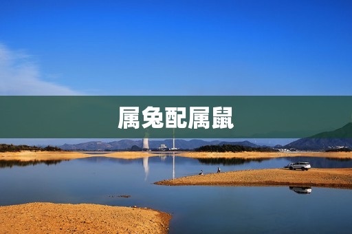 属兔的婚姻配什么生肖(如何选择配偶)  第1张