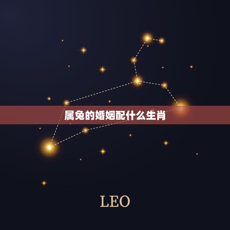 属兔的婚姻配什么生肖(如何选择配偶)  第3张