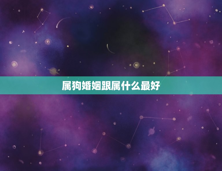 属狗婚姻跟属什么(如何选择婚姻对象)  第3张