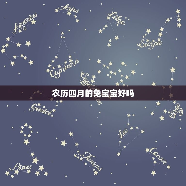 农历四月的兔宝宝好吗(介绍兔宝宝的性格特点和适宜养护方法)  第3张