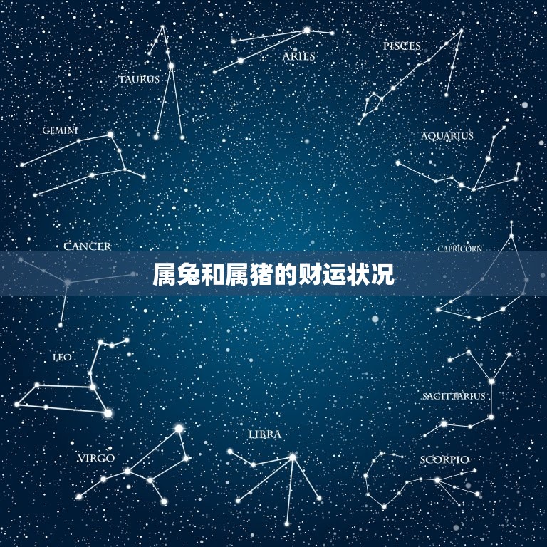属兔和属猪的合财运吗(财运合作还是相互拖累)  第2张