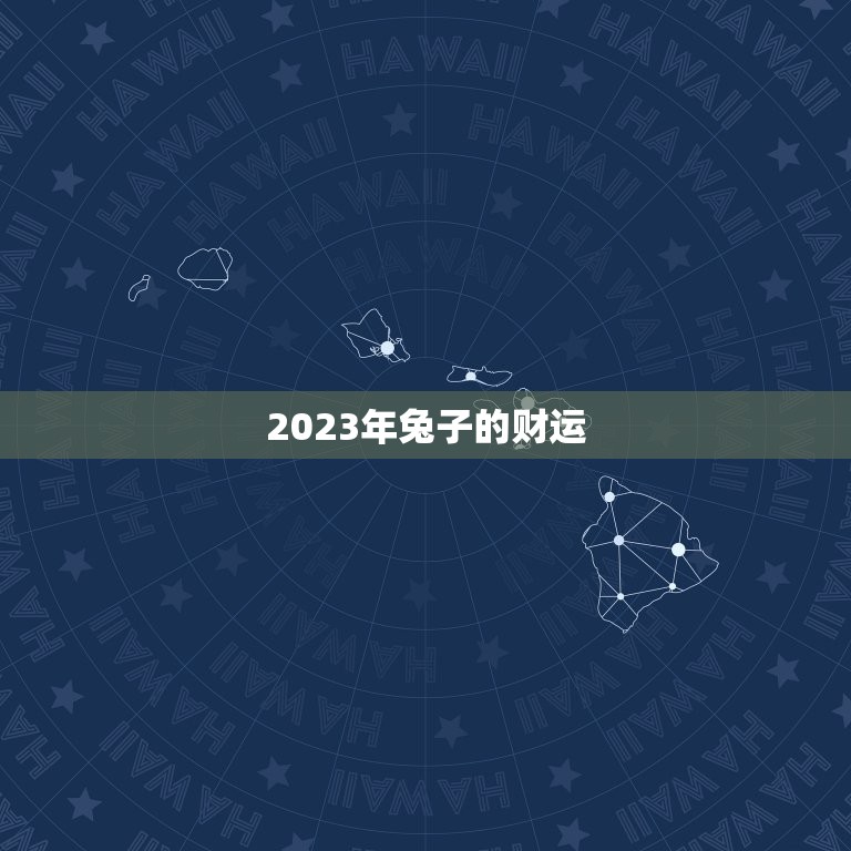 2023年兔子的财运