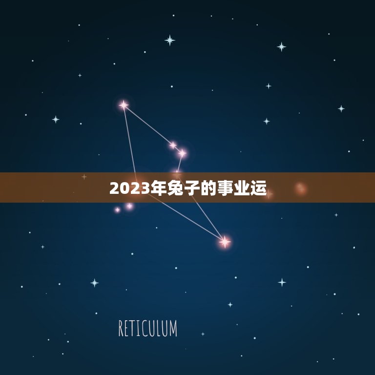 2023年兔子的事业运