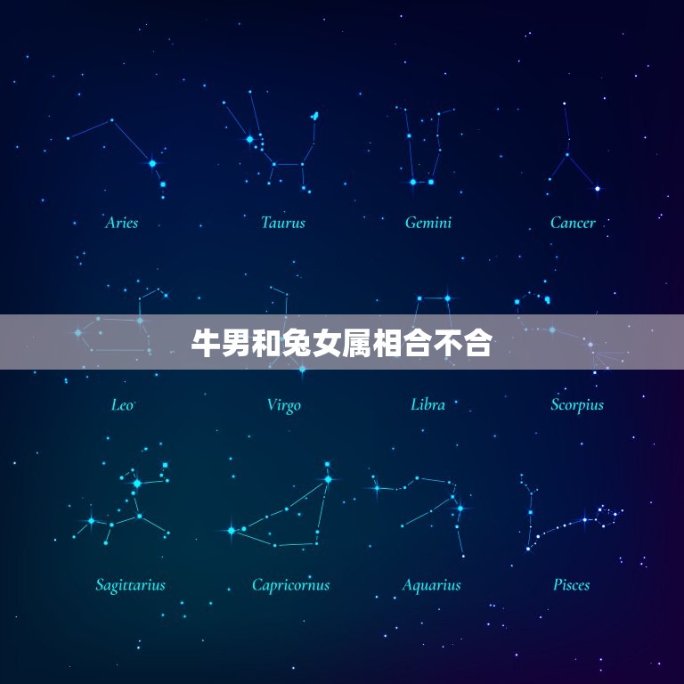 牛男和兔女属相合不合(如何看待这种组合)  第3张