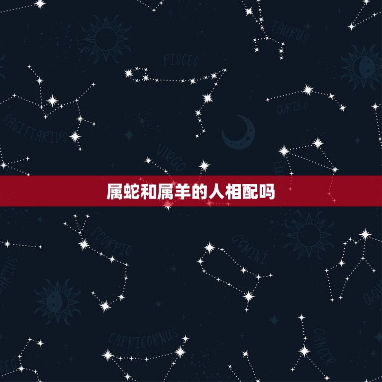 属蛇和属羊的人相配吗(星座配对介绍)  第3张