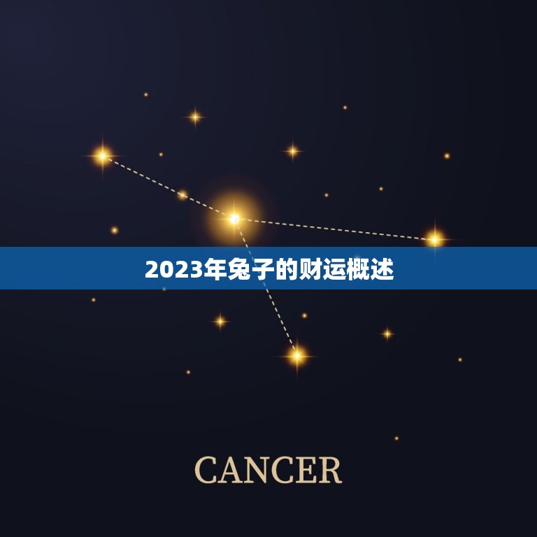 说兔子今年的财运如何(2023年兔子的财运大介绍)  第1张