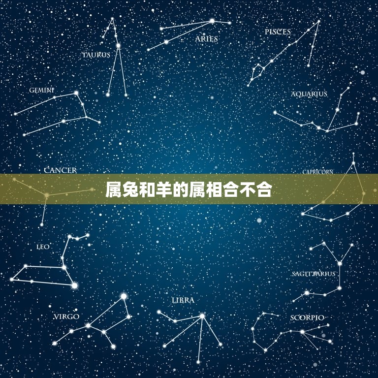 属兔和羊的属相合不合(你知道吗)  第3张