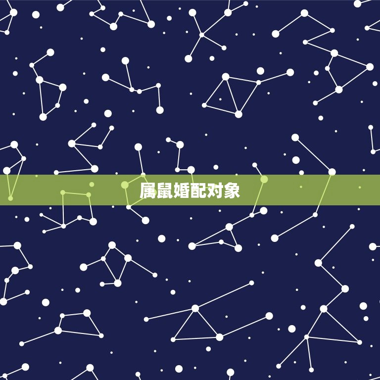 属鼠的婚配有哪些属相(婚配指南)  第2张