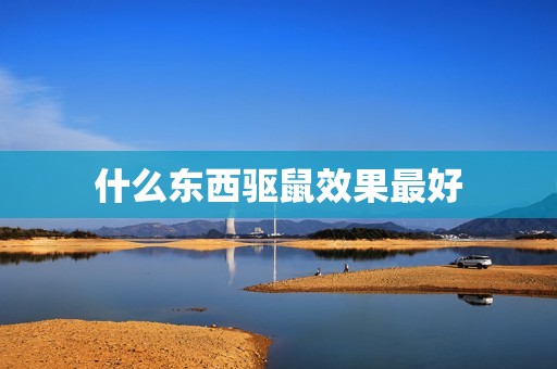 什么东西驱鼠效果(选择正确的方法来摆脱老鼠问题)  第3张