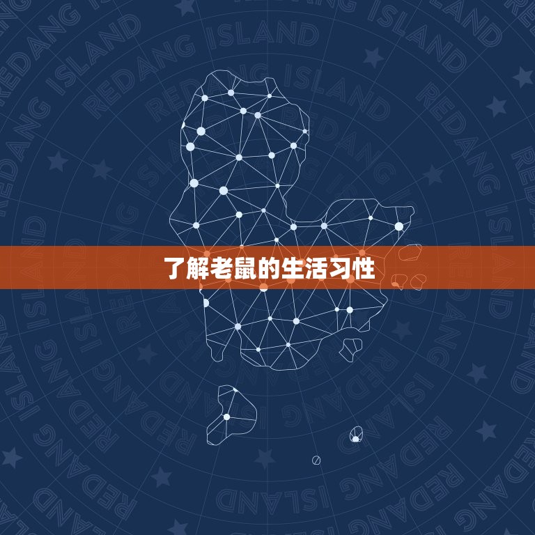 怎么灭老鼠简单小窍门(轻松驱赶老鼠保卫家园)