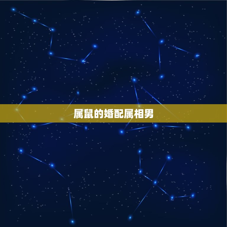 属鼠的婚配属相男(如何选择)  第2张