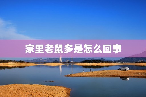 家里老鼠多是怎么回事(原因分析与解决方法)  第3张
