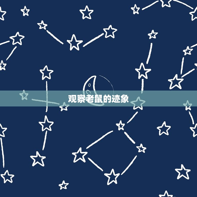 怎么把家里老鼠找出来(轻松搞定45个字的方法)