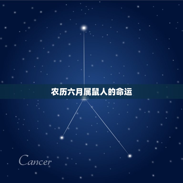 农历六月属鼠人的命运(如何把握命运转机)  第3张