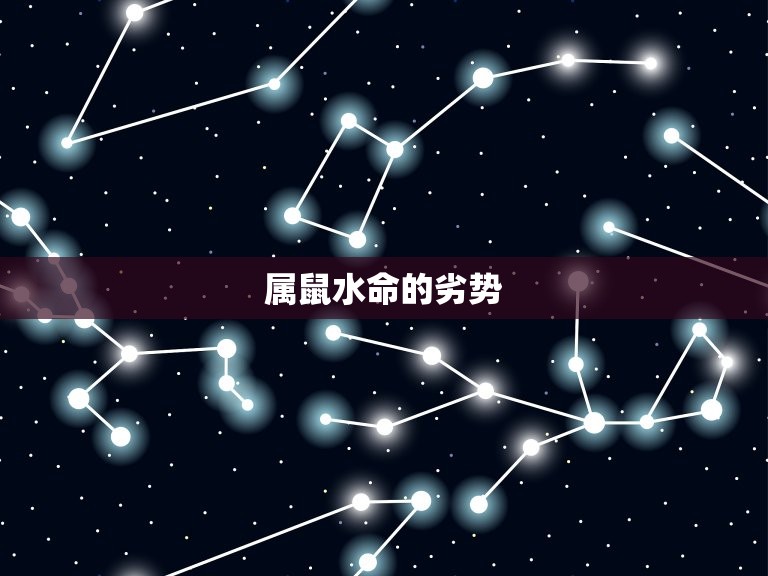 属鼠水命适合什么职业(探寻职业选择)  第2张