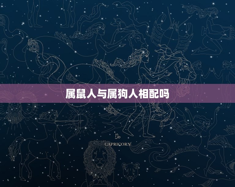 属鼠人与属狗人相配吗(星座专家介绍这两个属相的配对是否靠谱)  第3张