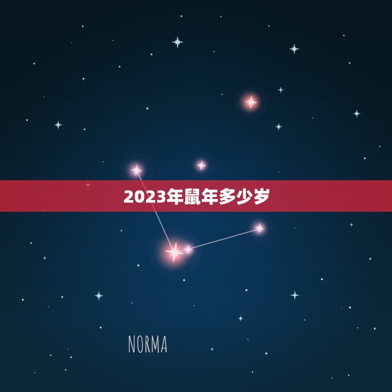 2023年鼠年多少岁