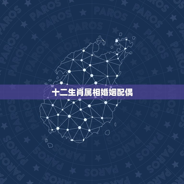 十二生肖属相婚姻配偶(如何选择伴侣)  第3张