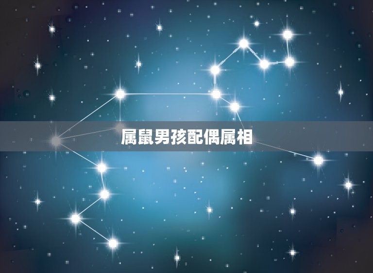 属鼠男孩配偶属相(如何选择最合适的伴侣)  第2张