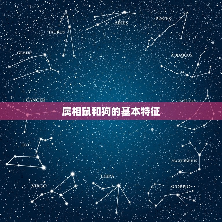 属相鼠和狗属相合不合(你知道吗)  第1张