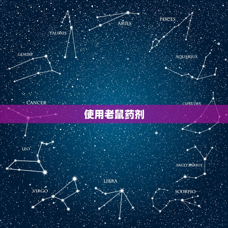 怎么能有效的驱赶老鼠(适用方法大介绍)  第2张