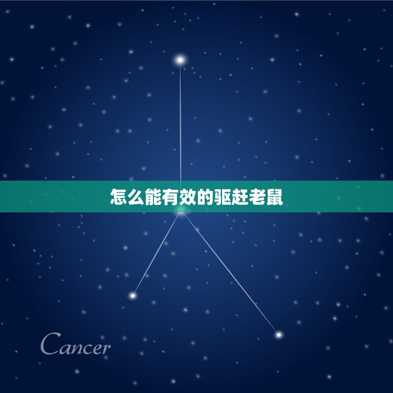 怎么能有效的驱赶老鼠(适用方法大介绍)  第3张