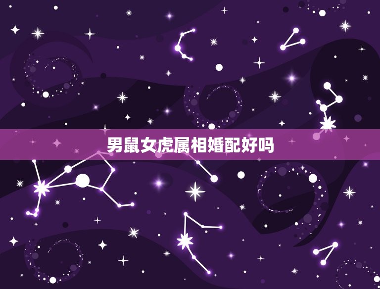 男鼠女虎属相婚配好吗(介绍命运交错的两个属相)  第3张