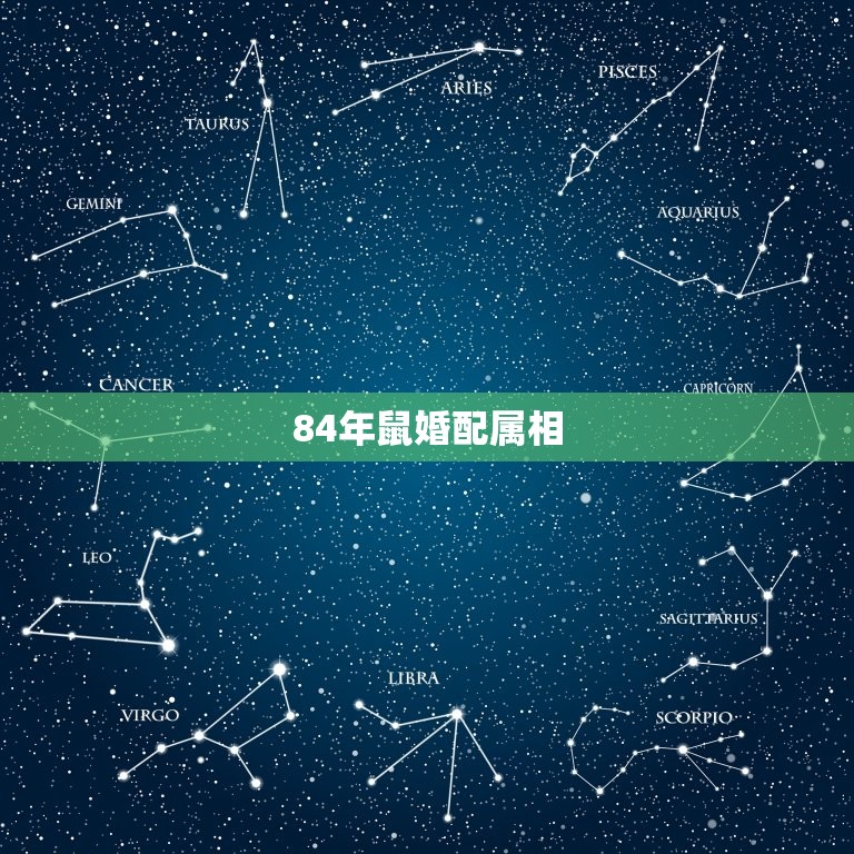 84年鼠婚配属相(哪个属相最适合)  第2张