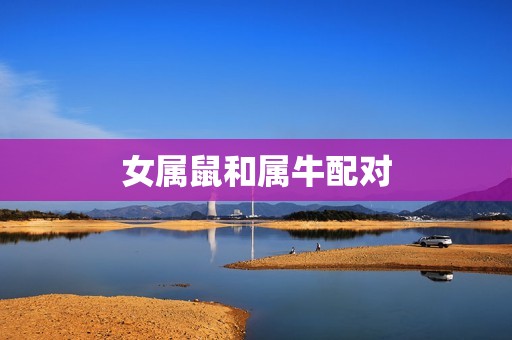 女属鼠和什么属相(寻找配对)  第1张