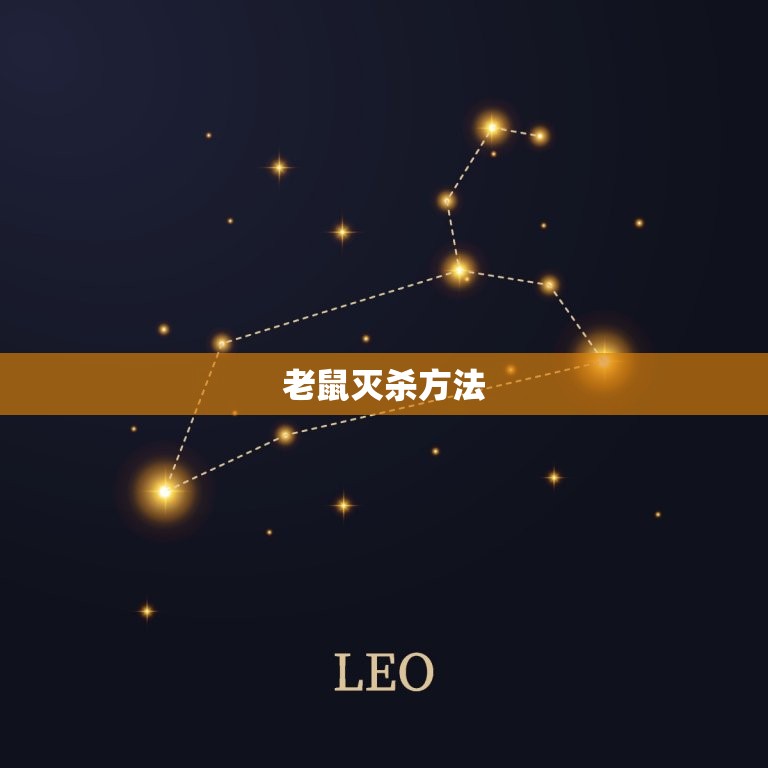 用什么方法灭老鼠最快(快速有效的老鼠灭杀方法大介绍)  第2张