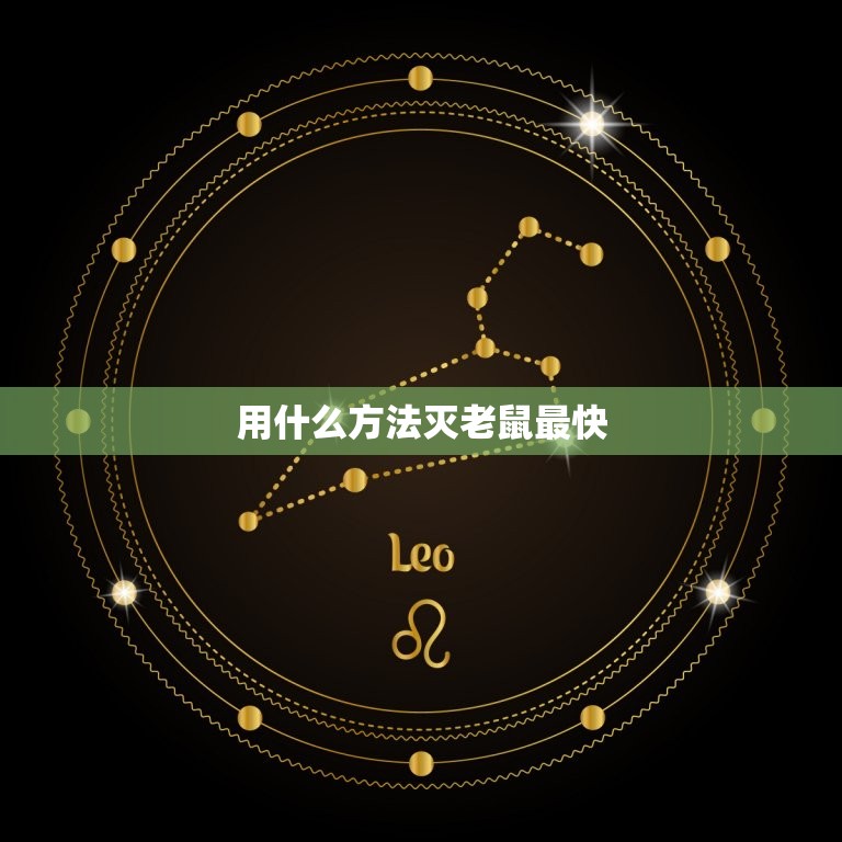 用什么方法灭老鼠最快(快速有效的老鼠灭杀方法大介绍)  第3张