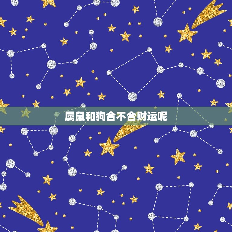 属鼠和狗合不合财运呢(财运大介绍)  第3张