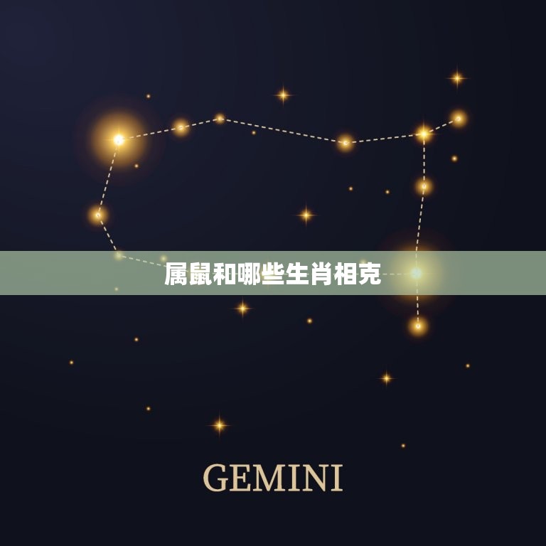 属鼠和什么相克相配(十二生肖中的鼠与哪些生肖相克相配)  第1张