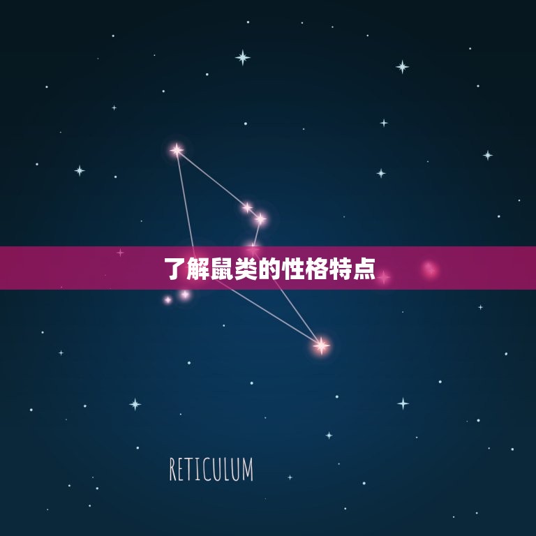 鼠的配偶属什么最合适(如何选择鼠类伴侣)  第1张