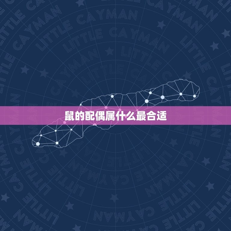 鼠的配偶属什么最合适(如何选择鼠类伴侣)  第3张