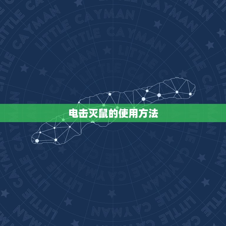 用电灭老鼠最有效方法(电击灭鼠快速、安全、高效)  第2张