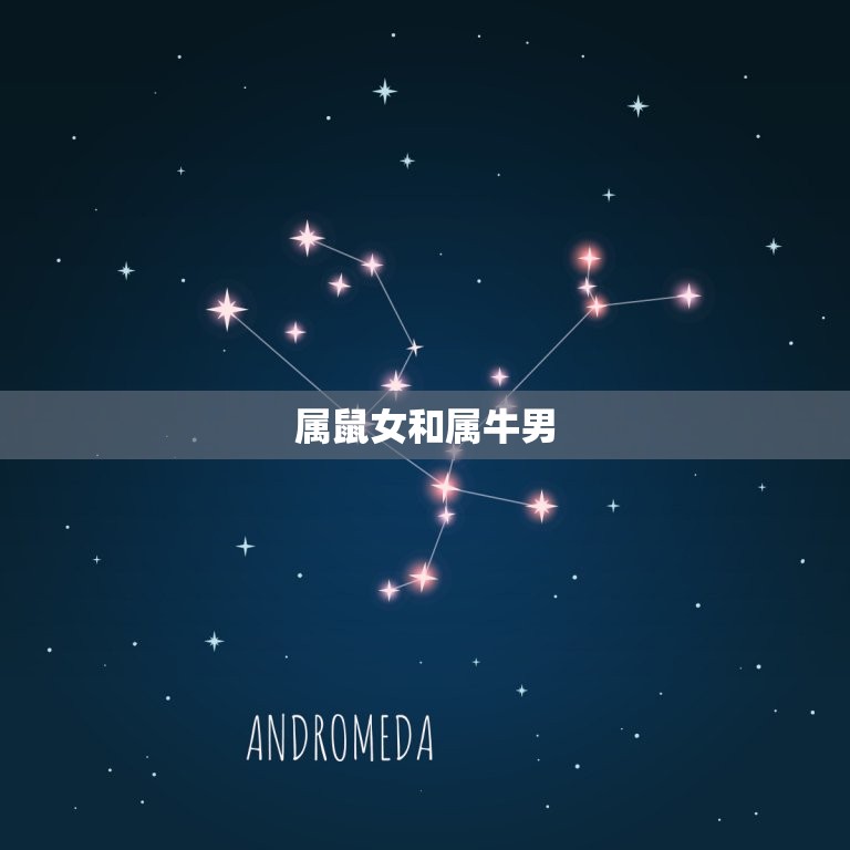 属鼠女和什么属相配对(配对指南)  第1张