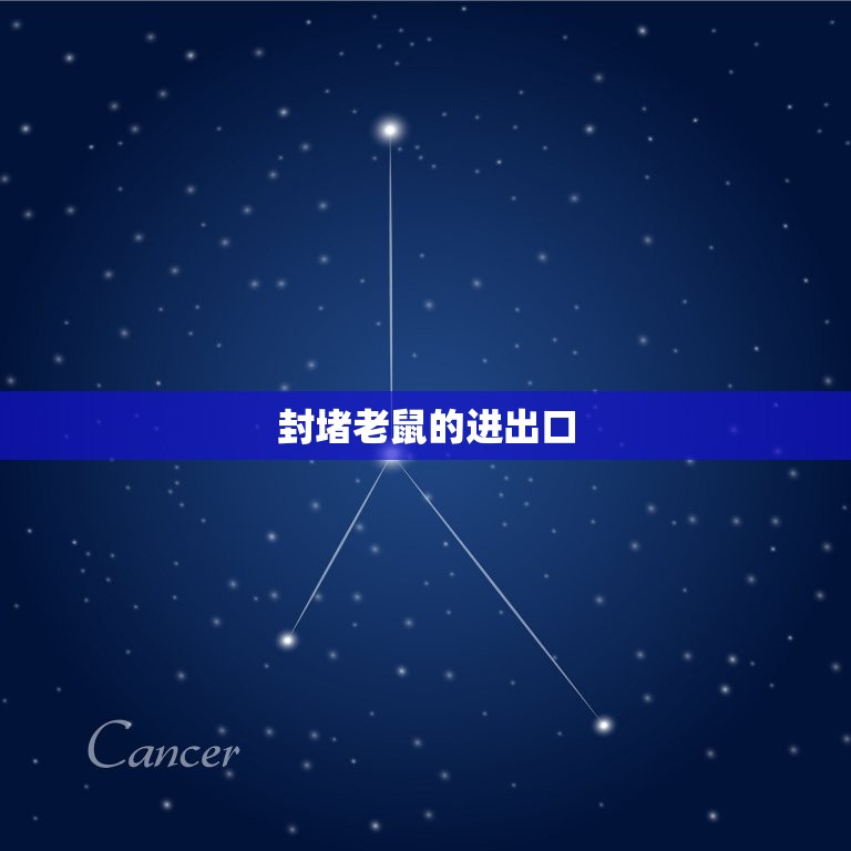 如何将老鼠从家中赶走(有效方法大介绍)  第2张