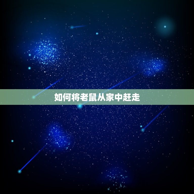 如何将老鼠从家中赶走(有效方法大介绍)  第3张