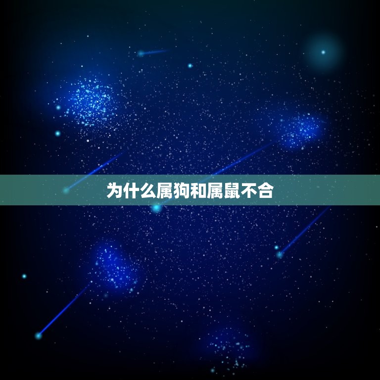 为什么属狗和属鼠不合(介绍星座配对的奥秘)  第3张