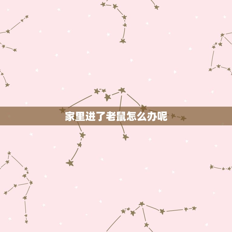 家里进了老鼠怎么办呢(快速有效的老鼠驱除方法)  第3张